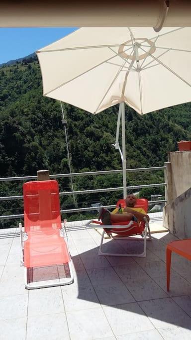 Paisible Maison Dans Les Pyrenees Fontpédrouse Eksteriør bilde